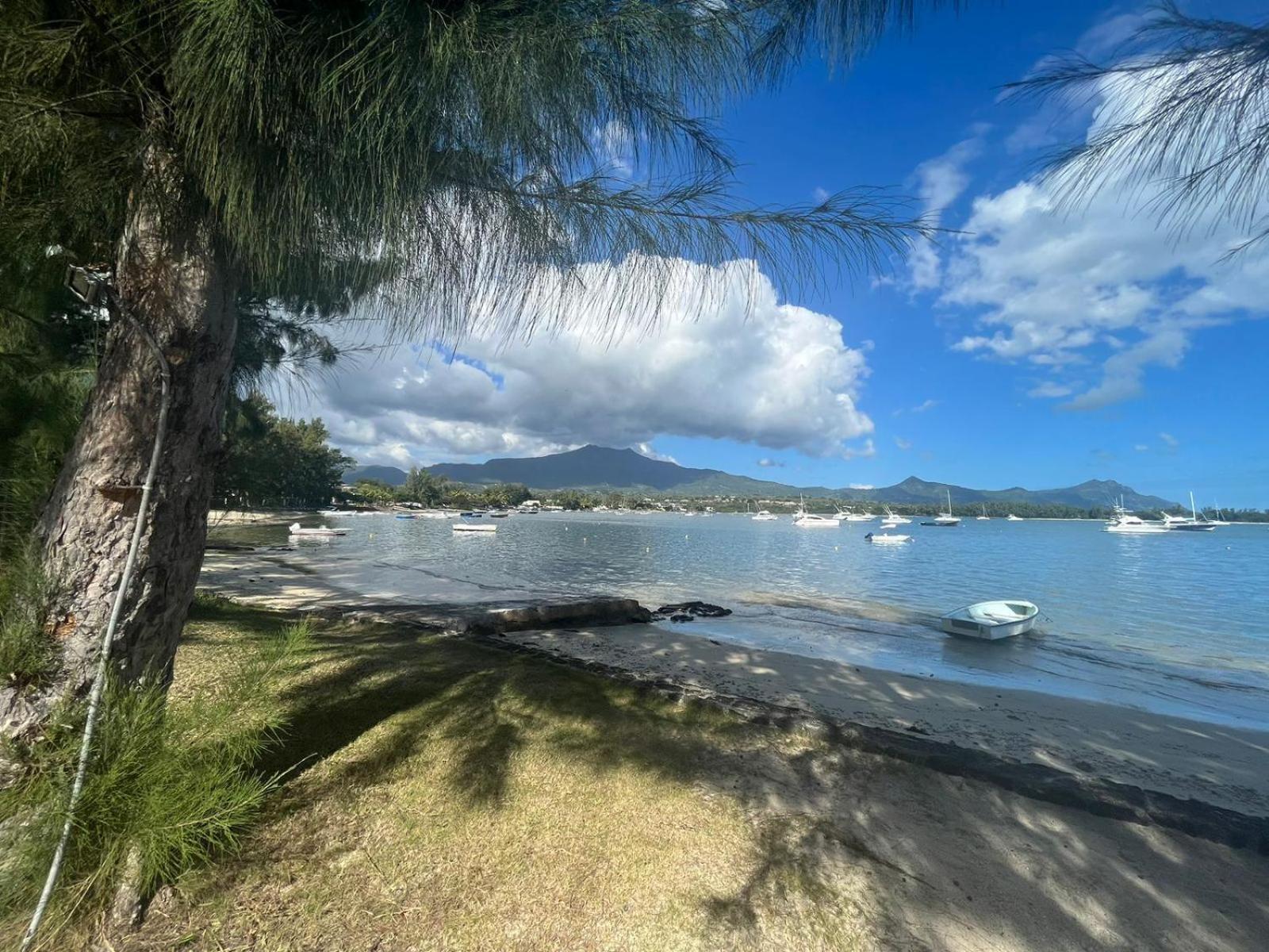 Olana Blue - Beachfront Apartment Riviere Noire Luaran gambar